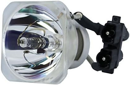 Lytio Premium para Optoma BL-FP200A Lamp Blfp200a