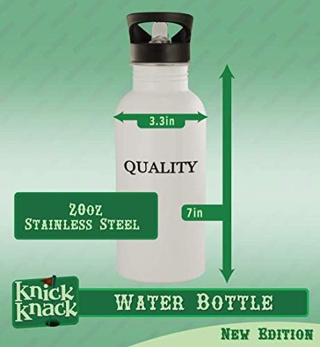 Presentes de Knick Knack Preparation - 20 onças de aço inoxidável garrafa de água, prata