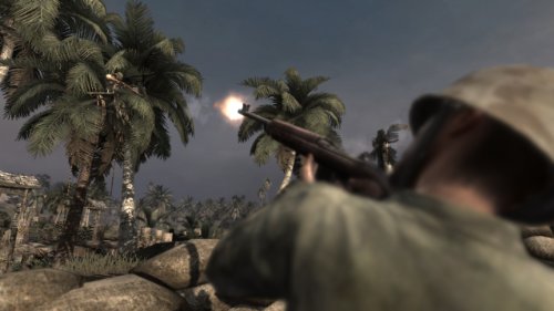 Call of Duty: World at War - PC [código de jogo online]