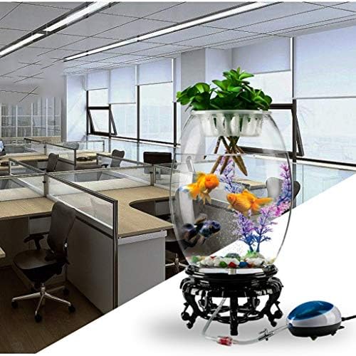 Luckxuan Fish Tank Personalidade Criativa Round Goldfish Tank Aquário Sala de estar Desk moda Aquário Aquário decoração