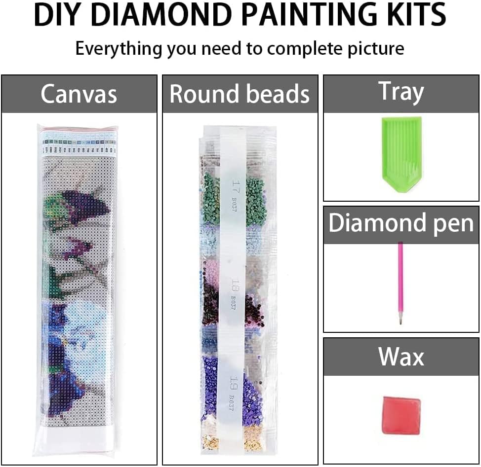 Kits de pintura de diamante 5D DIY para adultos, ziko 1 pacote seja gnomos gentis kits de pintura