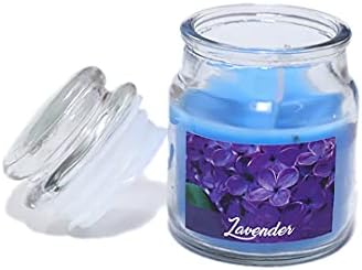 Sachi Hastkala Celas perfumadas em jarra de vidro - aromaterapia com cera de soja velas votivas