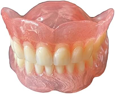 Modelo de dentes dentários KH66ZKY - Modelo de dentes padrão - Para suprimentos de estudo odontológico