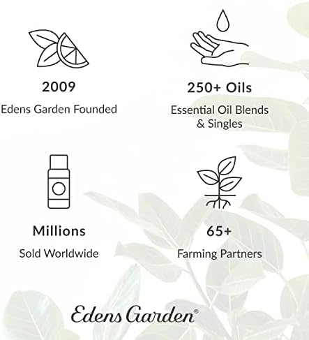 Edens Garden Concentração e Memória Mistura de óleo essencial, puro e natural Premium terapêutico aromaterapia